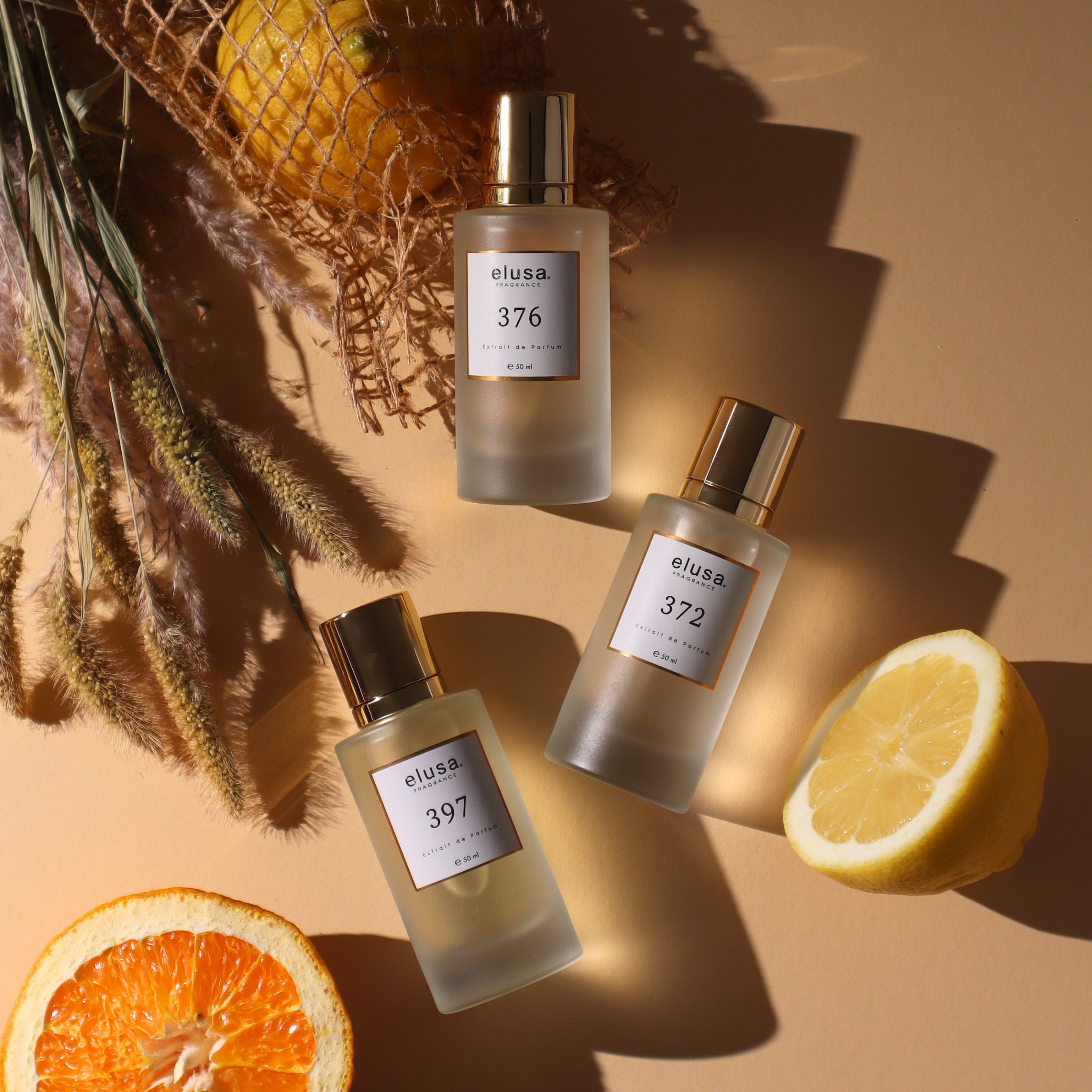 23 (1).png__PID:28a8e815-21a3-43d0-b460-f080bf46d0ba