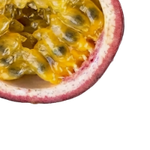 <p>100% ohne<br/><strong>Füllöle</strong></p>