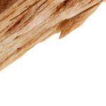 <p>Bis zu 12h<br/><strong>Haltbarkeit</strong></p>