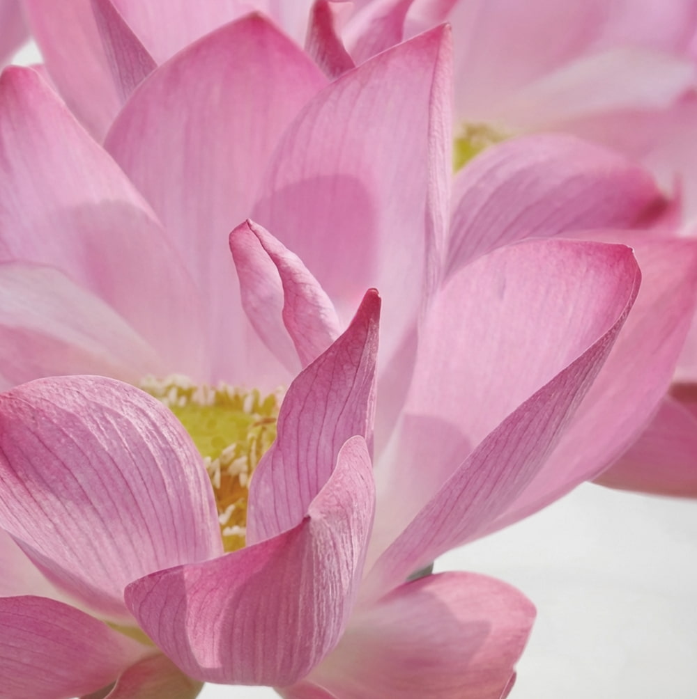 Spare über 30% im Set