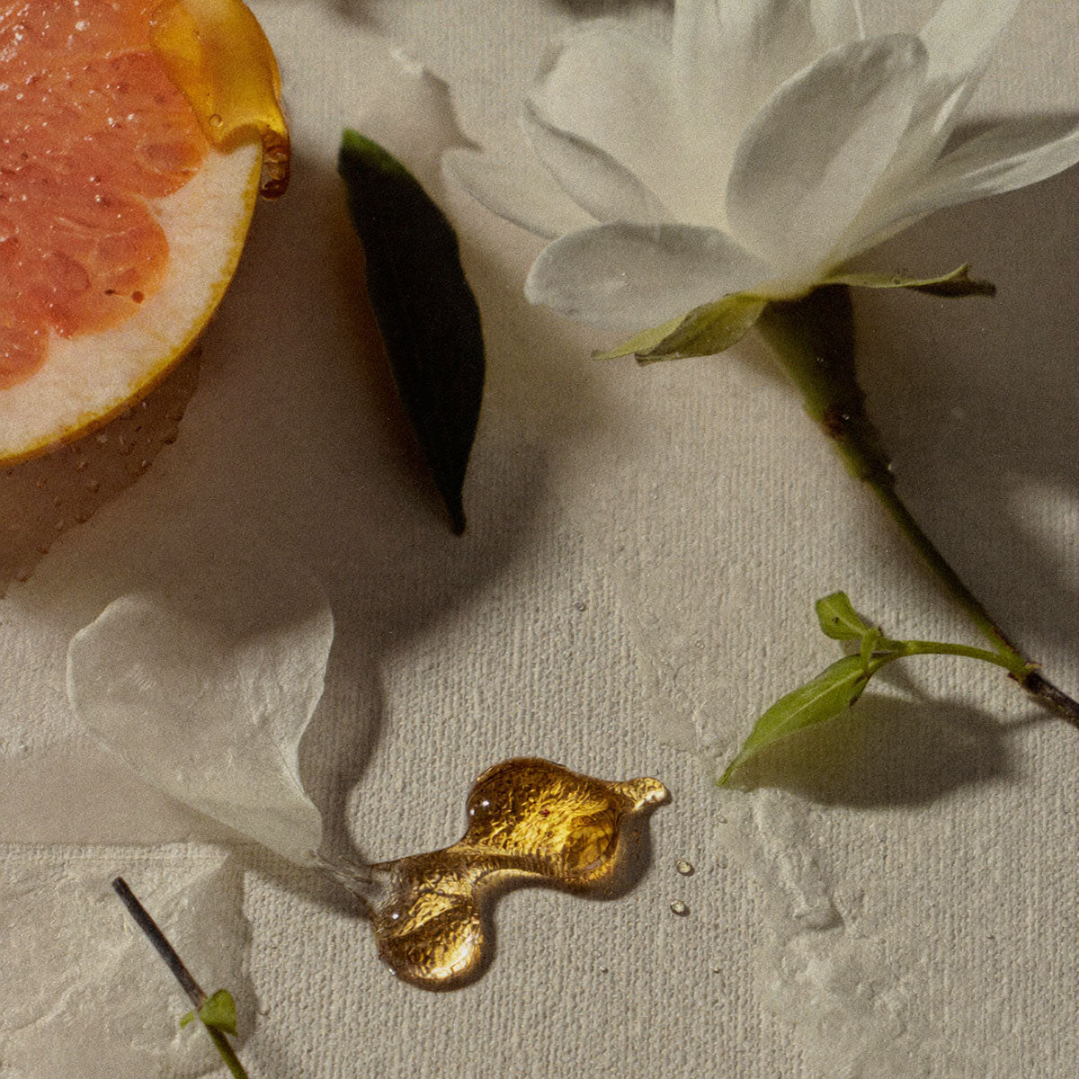 Was Extrait De Parfum Bedeutet